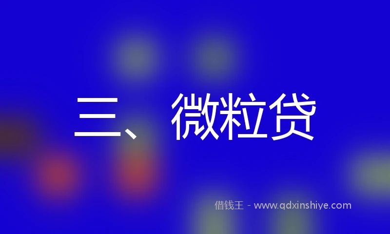 三、微粒贷