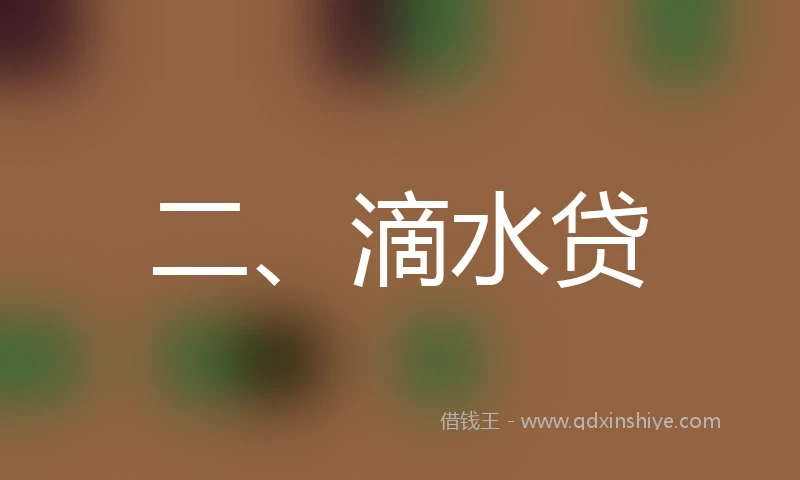 二、滴水贷