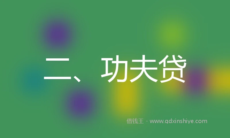 二、功夫贷