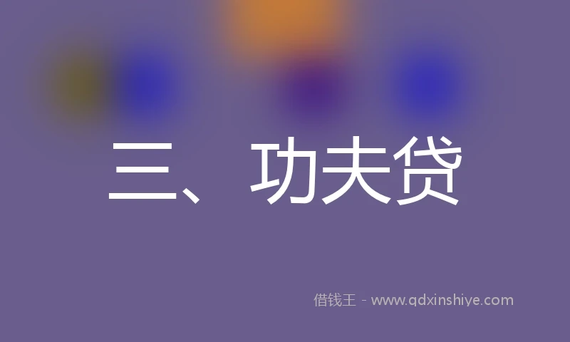 三、功夫贷