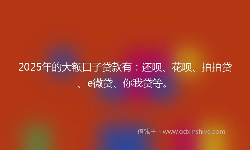 2025年的大额口子贷款有：还呗、花呗、拍拍贷、e微贷、你我贷等。