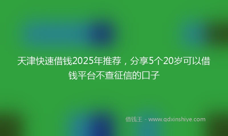 天津快速借钱2025年推荐，分享5个20岁可以借钱平台不查征信的口子