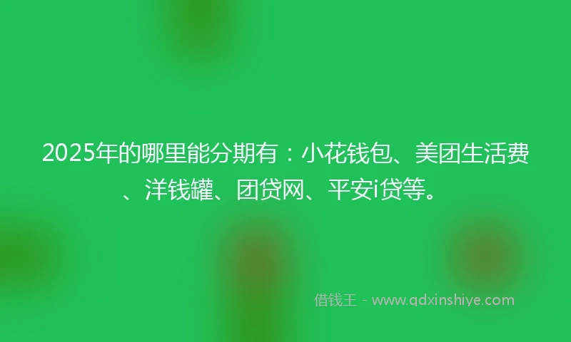 2025年的哪里能分期有：小花钱包、美团生活费、洋钱罐、团贷网、平安i贷等。