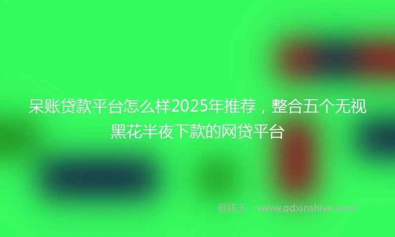 呆账贷款平台怎么样2025年推荐，整合五个无视黑花半夜下款的网贷平台