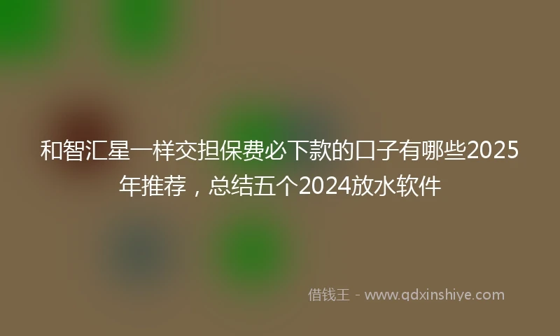 和智汇星一样交担保费必下款的口子有哪些2025年推荐，总结五个2024放水软件