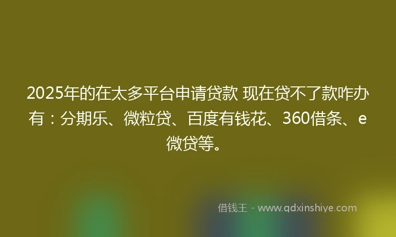 2025年的在太多平台申请贷款 现在贷不了款咋办有:分期乐、微粒贷、百度有钱花、360借条、e微贷等。