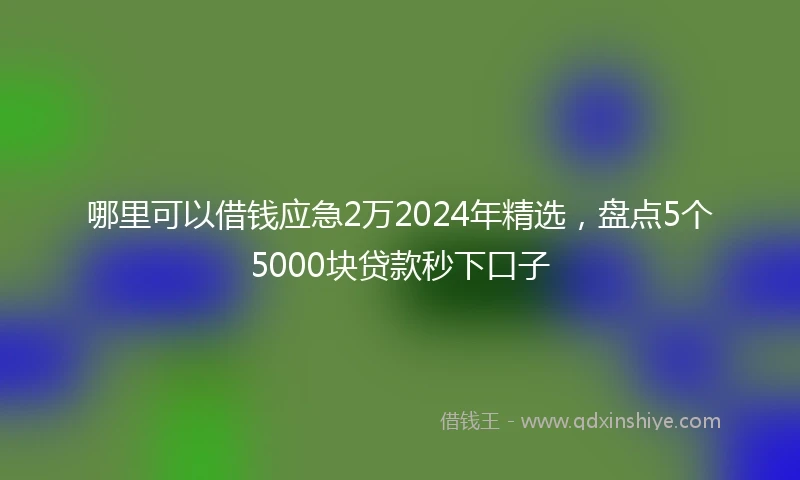 哪里可以借钱应急2万2024年精选，盘点5个5000块贷款秒下口子
