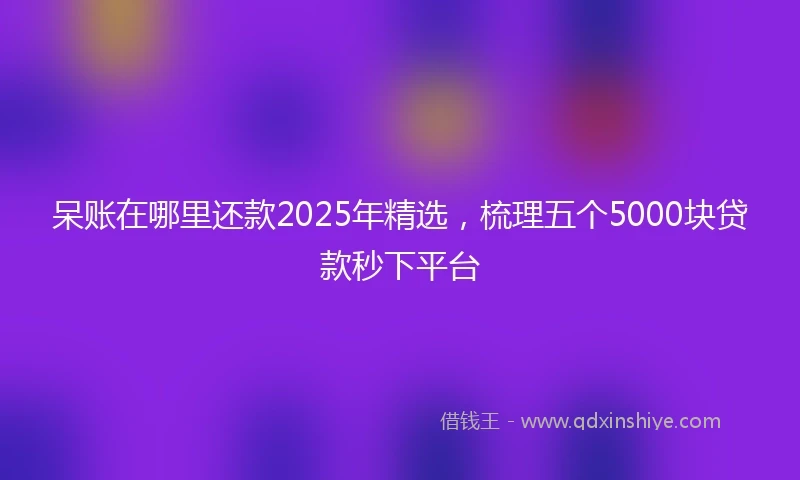 呆账在哪里还款2025年精选，梳理五个5000块贷款秒下平台