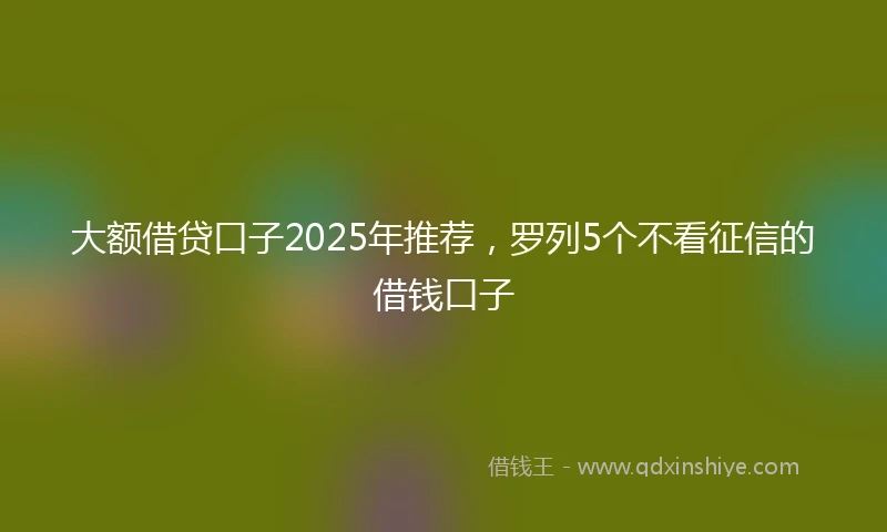 大额借贷口子2025年推荐，罗列5个不看征信的借钱口子