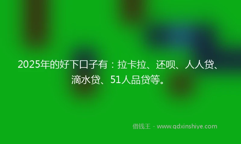 2025年的好下口子有：拉卡拉、还呗、人人贷、滴水贷、51人品贷等。