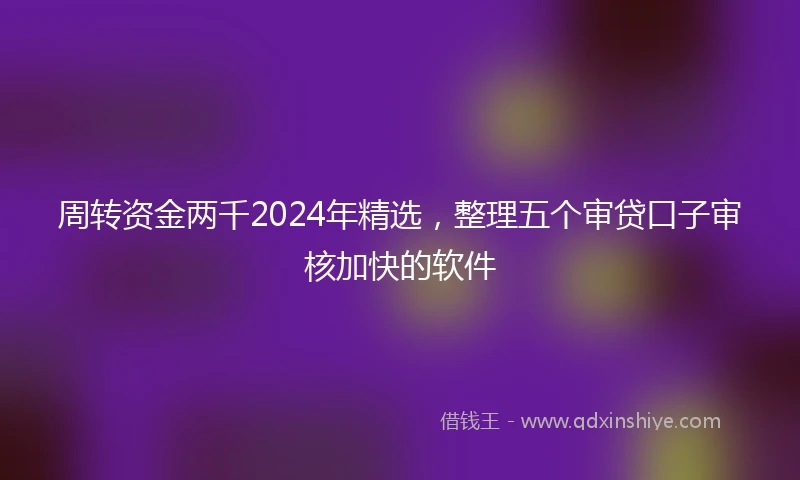 周转资金两千2024年精选，整理五个审贷口子审核加快的软件