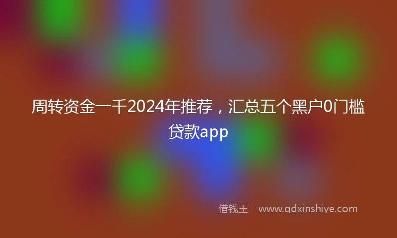 周转资金一千2024年推荐，汇总五个黑户0门槛贷款app