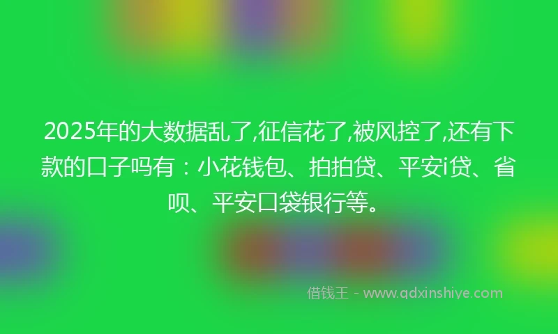 2025年的大数据乱了,征信花了,被风控了,还有下款的口子吗有：小花钱包、拍拍贷、平安i贷、省呗、平安口袋银行等。