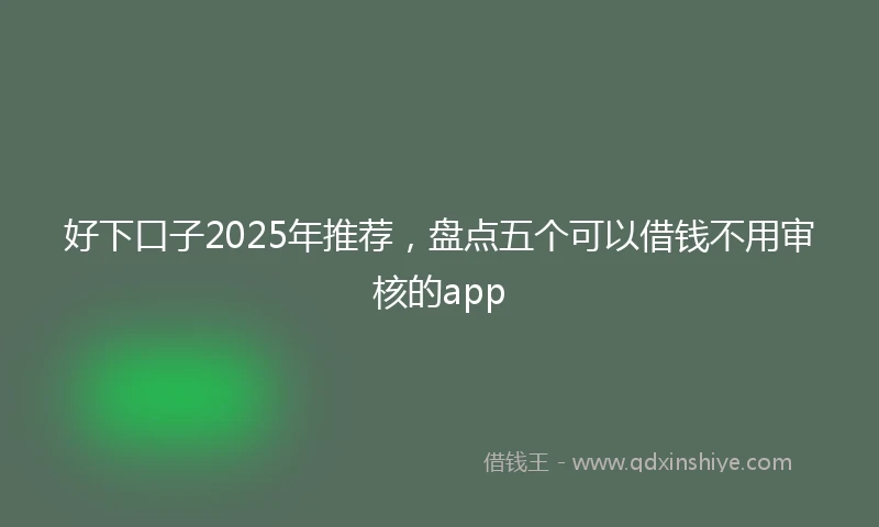 好下口子2025年推荐，盘点五个可以借钱不用审核的app