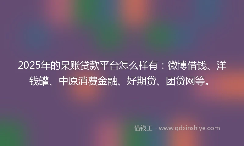 2025年的呆账贷款平台怎么样有：微博借钱、洋钱罐、中原消费金融、好期贷、团贷网等。