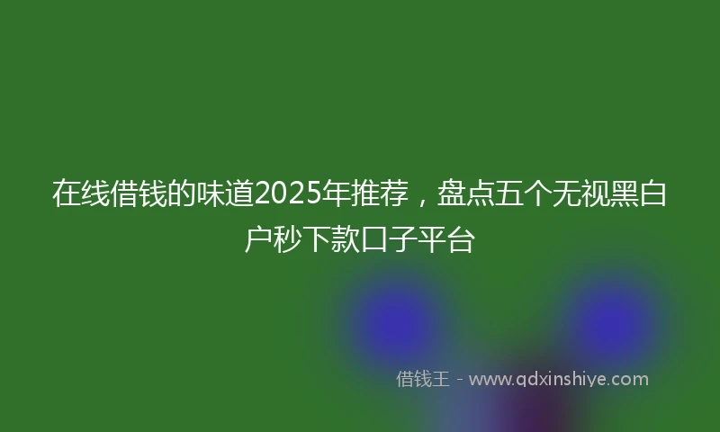 在线借钱的味道2025年推荐，盘点五个无视黑白户秒下款口子平台
