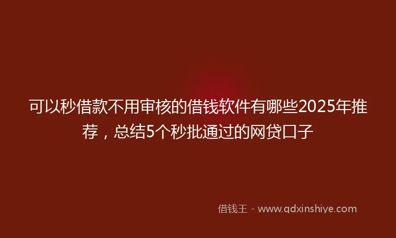 可以秒借款不用审核的借钱软件有哪些2025年推荐，总结5个秒批通过的网贷口子