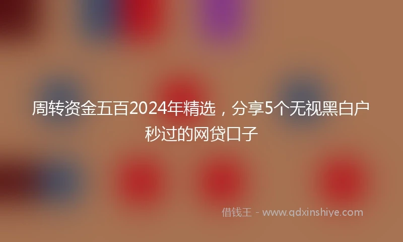 周转资金五百2024年精选，分享5个无视黑白户秒过的网贷口子