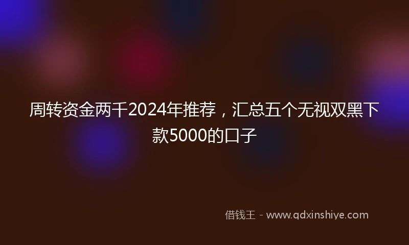 周转资金两千2024年推荐，汇总五个无视双黑下款5000的口子