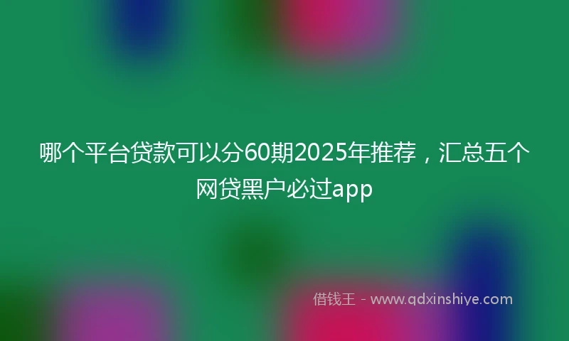 哪个平台贷款可以分60期2025年推荐，汇总五个网贷黑户必过app