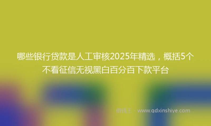 哪些银行贷款是人工审核2025年精选，概括5个不看征信无视黑白百分百下款平台