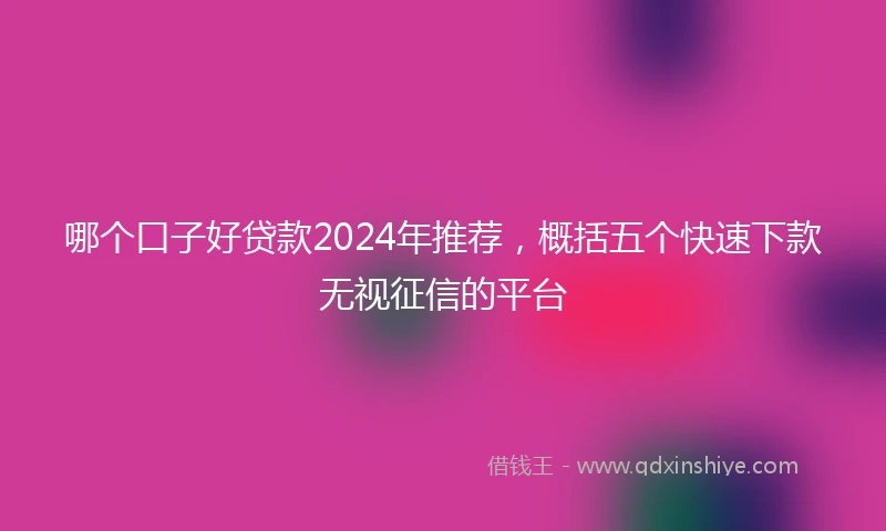 哪个口子好贷款2024年推荐，概括五个快速下款无视征信的平台