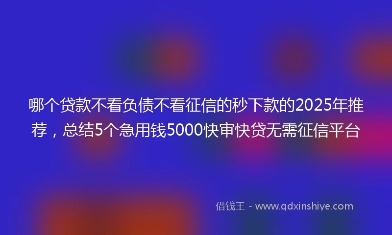 哪个贷款不看负债不看征信的秒下款的2025年推荐，总结5个急用钱5000快审快贷无需征信平台