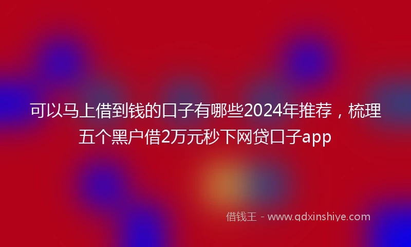 可以马上借到钱的口子有哪些2024年推荐，梳理五个黑户借2万元秒下网贷口子app