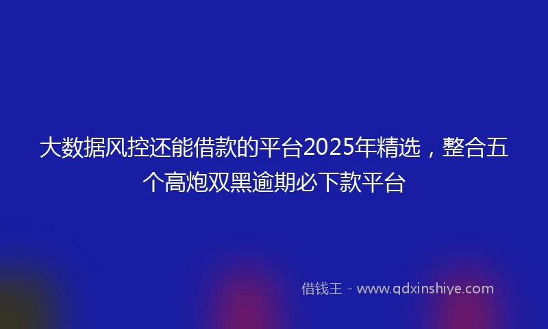 大数据风控还能借款的平台2025年精选，整合五个高炮双黑逾期必下款平台