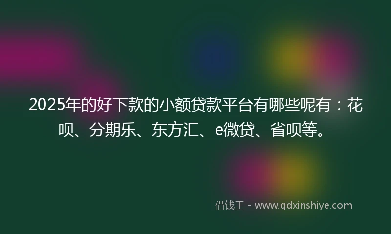 2025年的好下款的小额贷款平台有哪些呢有：花呗、分期乐、东方汇、e微贷、省呗等。
