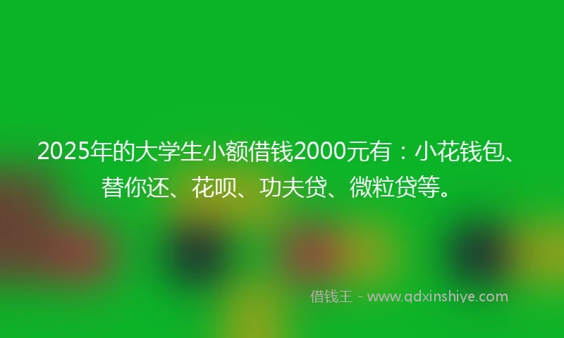 2025年的大学生小额借钱2000元有：小花钱包、替你还、花呗、功夫贷、微粒贷等。