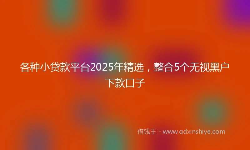 各种小贷款平台2025年精选，整合5个无视黑户下款口子