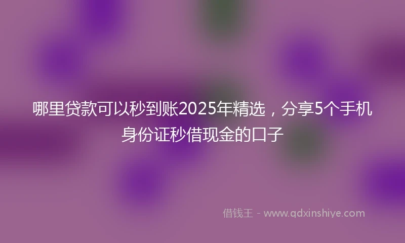 哪里贷款可以秒到账2025年精选，分享5个手机身份证秒借现金的口子
