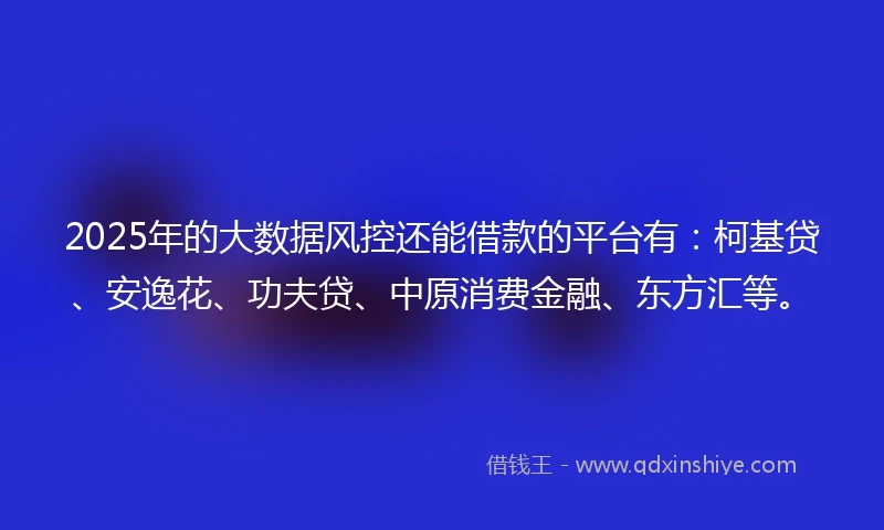 2025年的大数据风控还能借款的平台有：柯基贷、安逸花、功夫贷、中原消费金融、东方汇等。