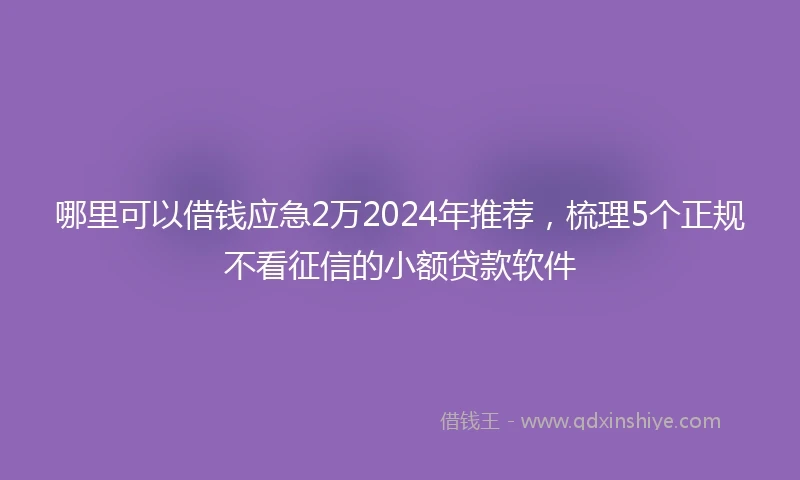 哪里可以借钱应急2万2024年推荐，梳理5个正规不看征信的小额贷款软件