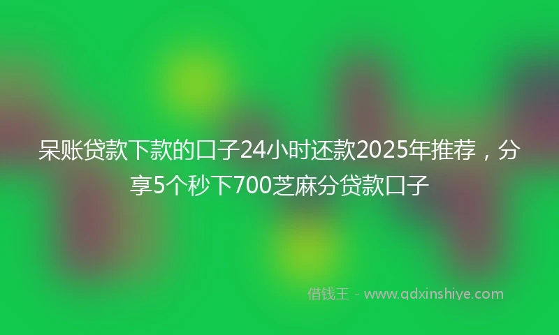 呆账贷款下款的口子24小时还款2025年推荐，分享5个秒下700芝麻分贷款口子