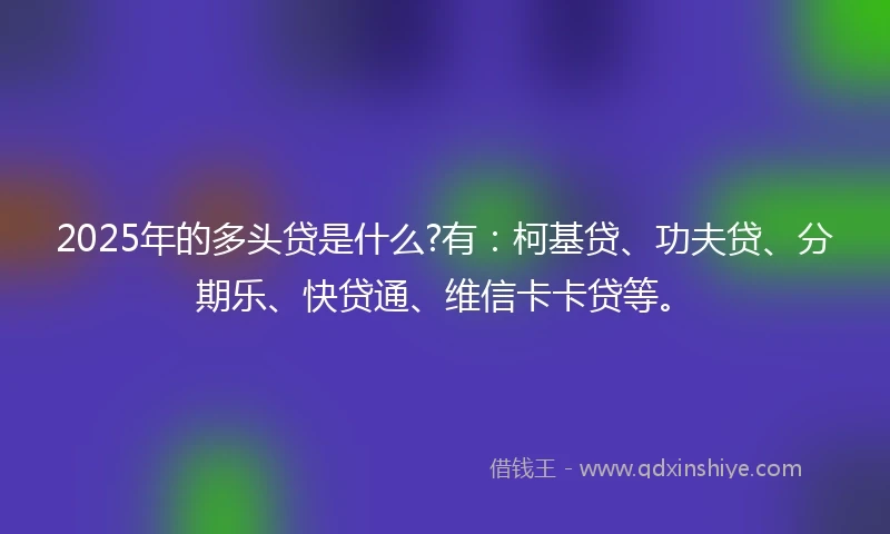 2025年的多头贷是什么?有：柯基贷、功夫贷、分期乐、快贷通、维信卡卡贷等。