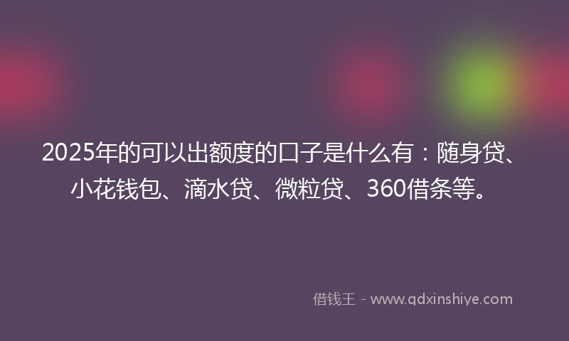 2025年的可以出额度的口子是什么有：随身贷、小花钱包、滴水贷、微粒贷、360借条等。