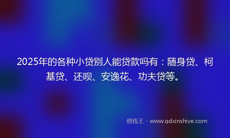 2025年的各种小贷别人能贷款吗有：随身贷、柯基贷、还呗、安逸花、功夫贷等。