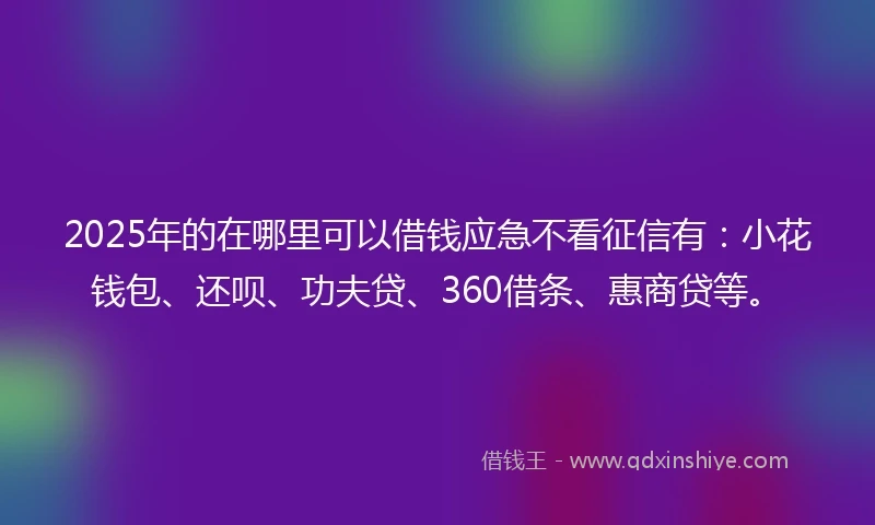 2025年的在哪里可以借钱应急不看征信有：小花钱包、还呗、功夫贷、360借条、惠商贷等。