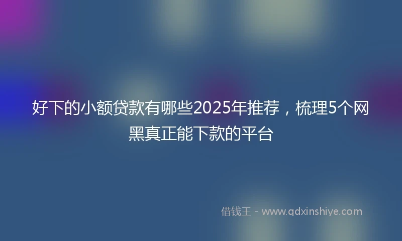 好下的小额贷款有哪些2025年推荐，梳理5个网黑真正能下款的平台