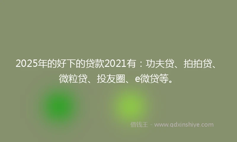 2025年的好下的贷款2021有：功夫贷、拍拍贷、微粒贷、投友圈、e微贷等。