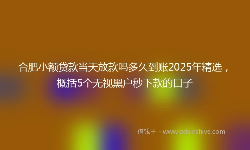 合肥小额贷款当天放款吗多久到账2025年精选，概括5个无视黑户秒下款的口子