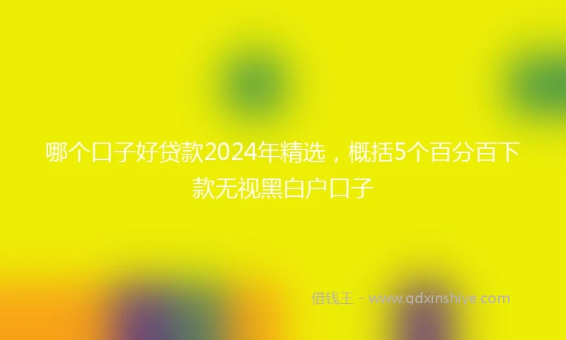 哪个口子好贷款2024年精选，概括5个百分百下款无视黑白户口子