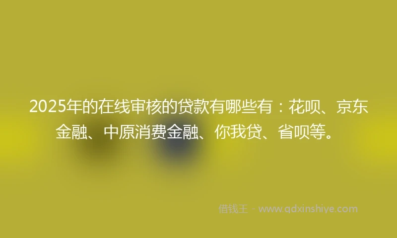 2025年的在线审核的贷款有哪些有：花呗、京东金融、中原消费金融、你我贷、省呗等。