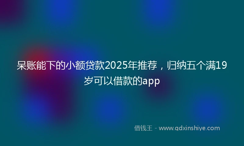 呆账能下的小额贷款2025年推荐，归纳五个满19岁可以借款的app