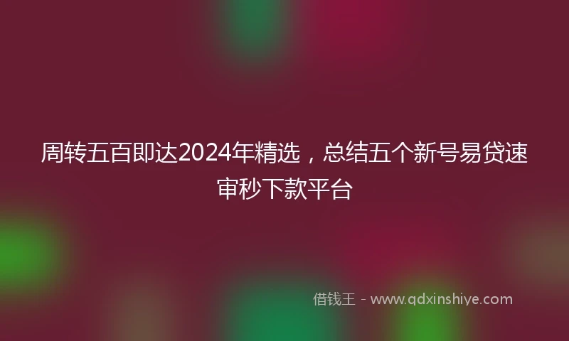 周转五百即达2024年精选，总结五个新号易贷速审秒下款平台