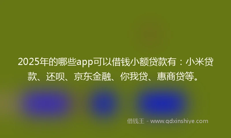 2025年的哪些app可以借钱小额贷款有：小米贷款、还呗、京东金融、你我贷、惠商贷等。