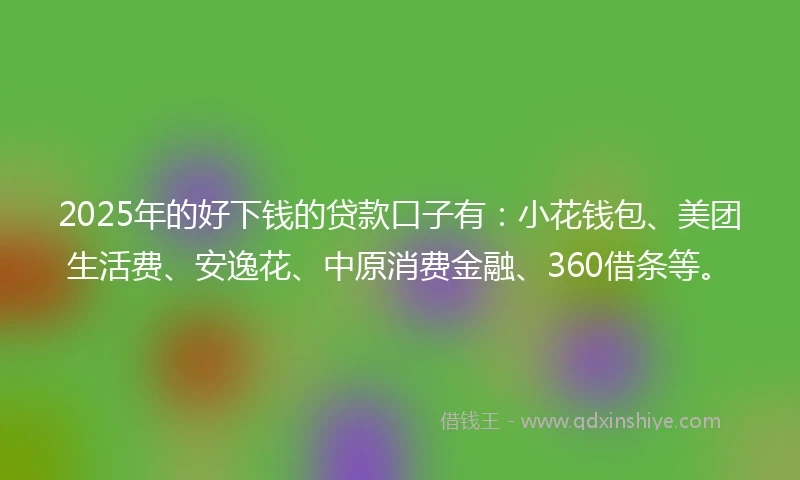 2025年的好下钱的贷款口子有：小花钱包、美团生活费、安逸花、中原消费金融、360借条等。