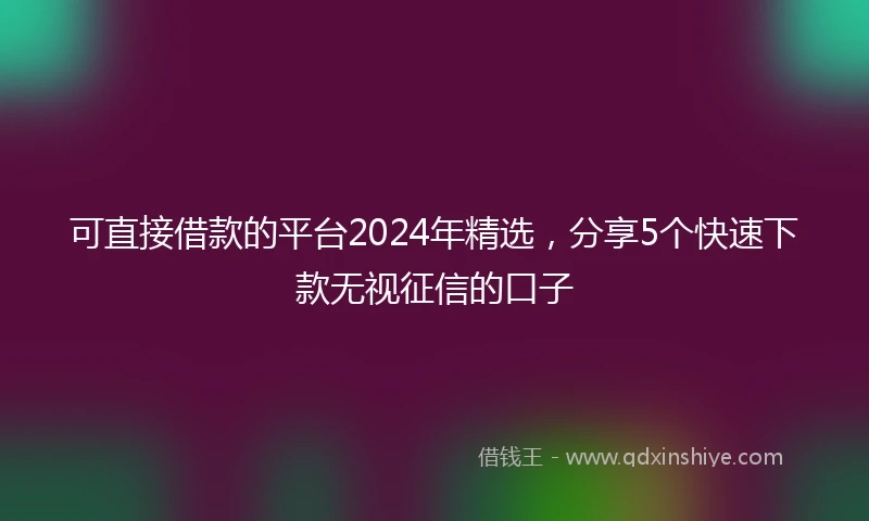 可直接借款的平台2024年精选，分享5个快速下款无视征信的口子